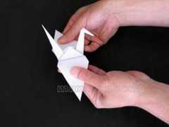 origami tsuru passaro